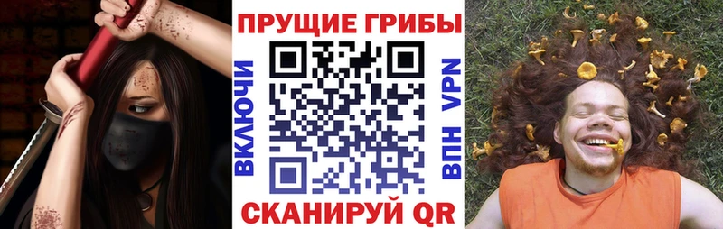 OMG онион  Шебекино  маркетплейс официальный сайт  купить   Псилоцибиновые грибы прущие грибы 