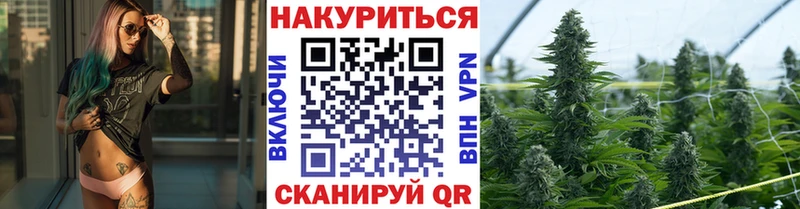 Канабис гибрид  мега онион  Шебекино 